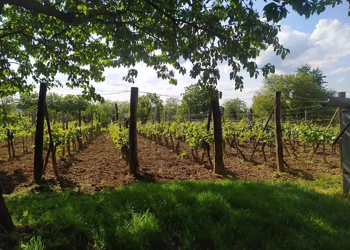 Stueble Kabinok Somogyharsagy