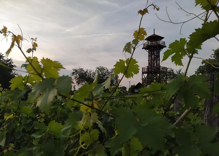 شقة Stueble Kabinok Somogyharsagy