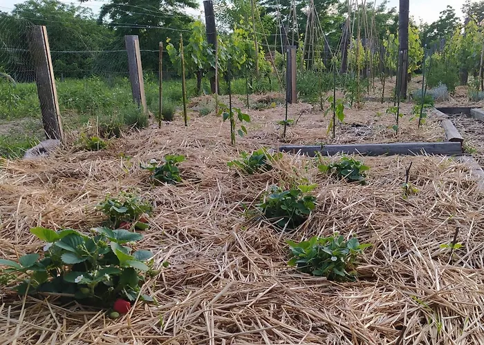 Stueble Kabinok شقة