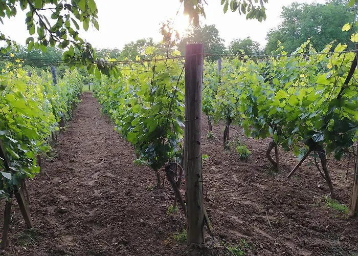 شقة Stueble Kabinok