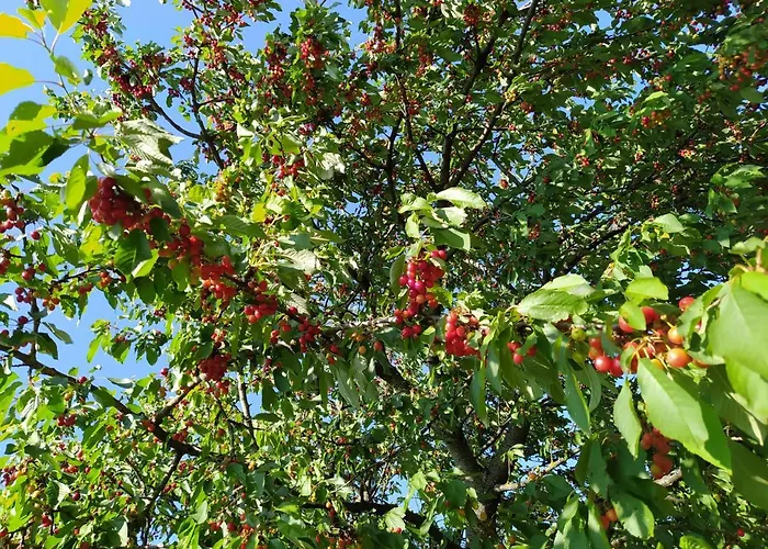 شقة Stueble Kabinok *